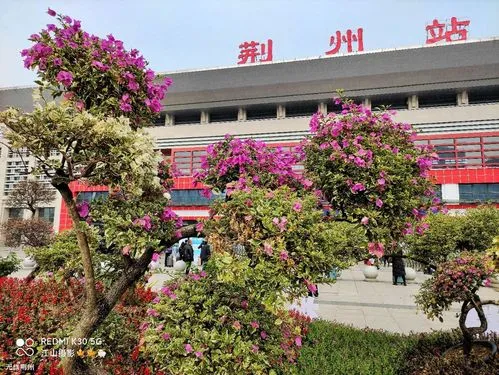 邯鄲到荊州物流公司-為您提供實(shí)惠可靠的物流服務(wù)邯鄲至荊州專線-