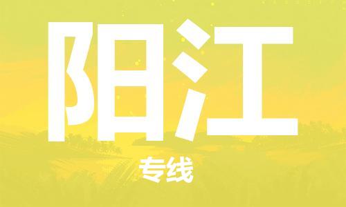 邯鄲到陽(yáng)江物流專線-貨運(yùn)直達(dá)-直送各區(qū)域-專業(yè)物流管理服務(wù)