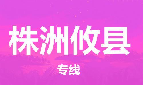 邯鄲到株洲攸縣物流專線-物流專線快速直達-市縣閃送